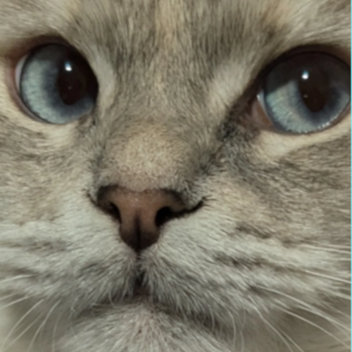 Avatar von _corksoaker98_