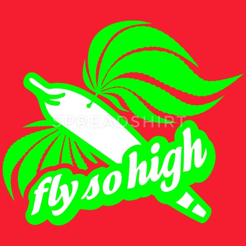 Avatar von FlySoHigh